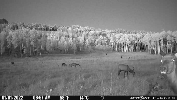 50166 County Road 80