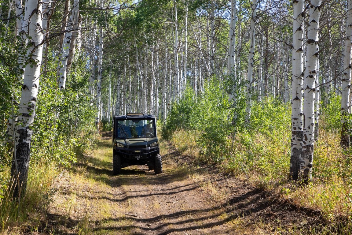 50166 County Road 80