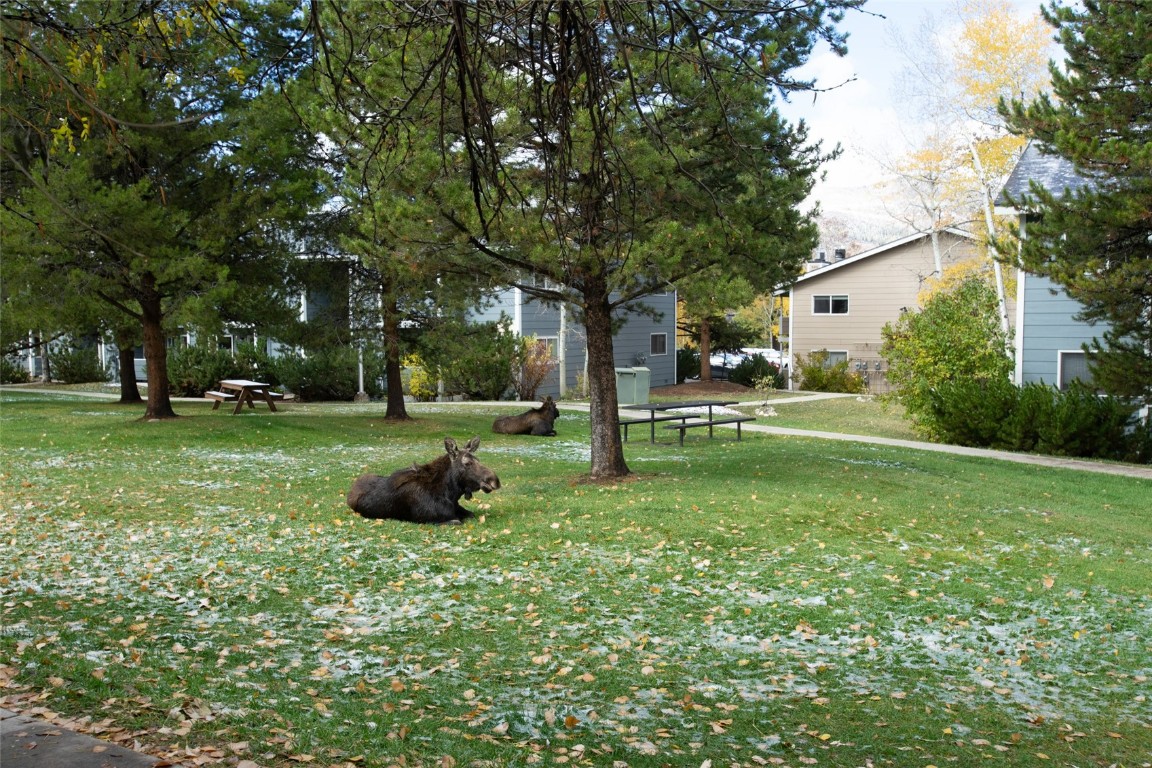 1380 Athens Plaza 16