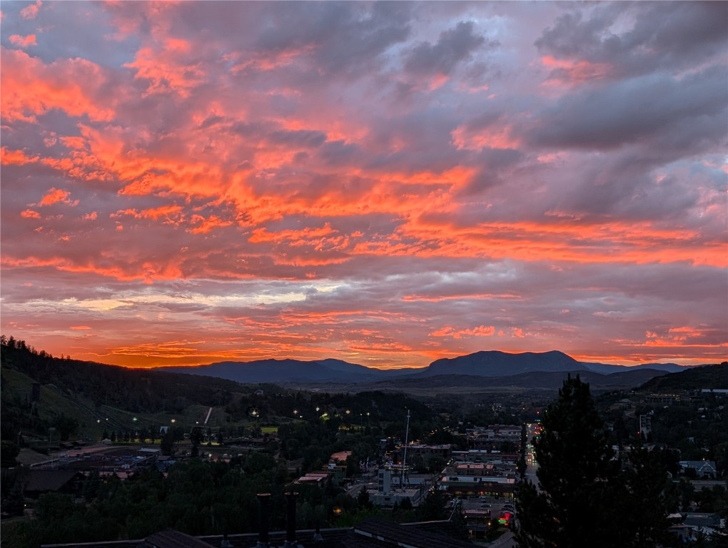 315 Little Moon TRAIL