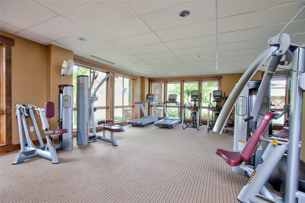 2404 Cattle Kate CIRCLE 21