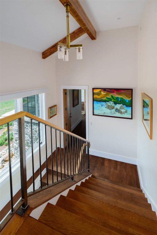 42375 River Drum TRAIL