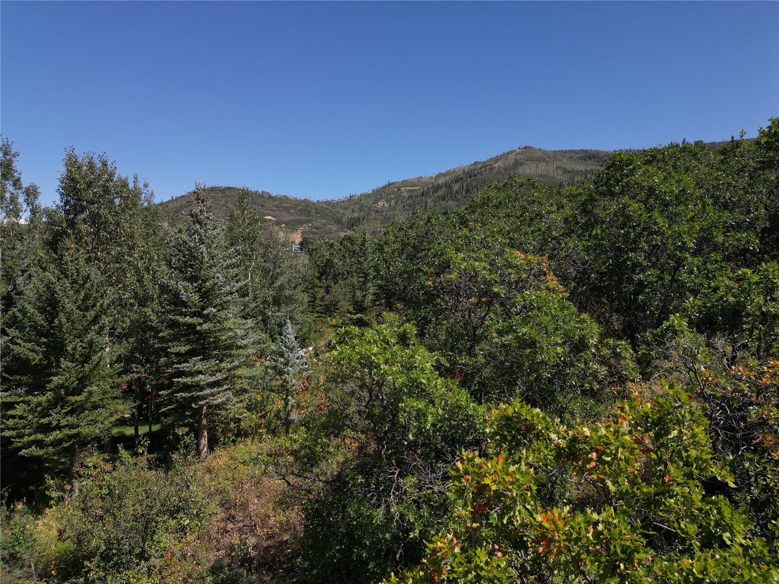 2245 Bear DRIVE