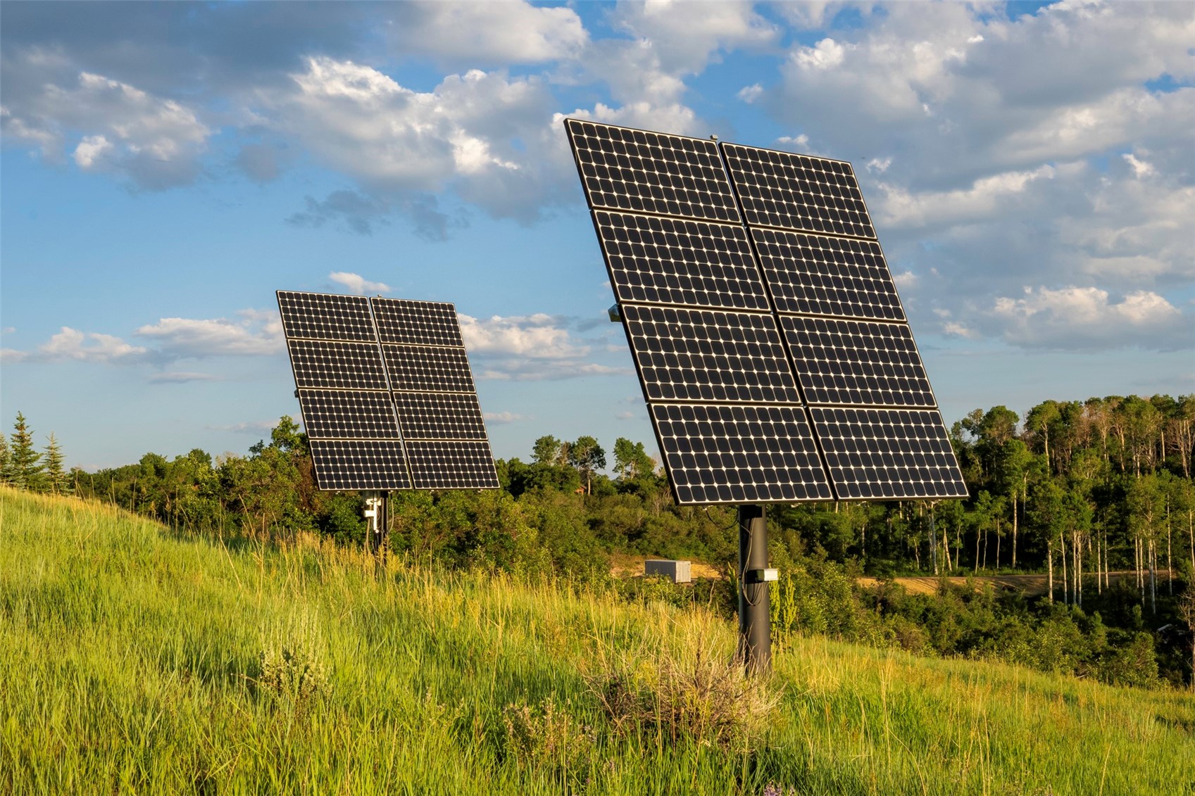 33250 Ravenswood LANE