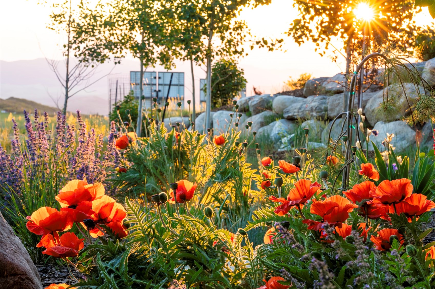 33250 Ravenswood LANE