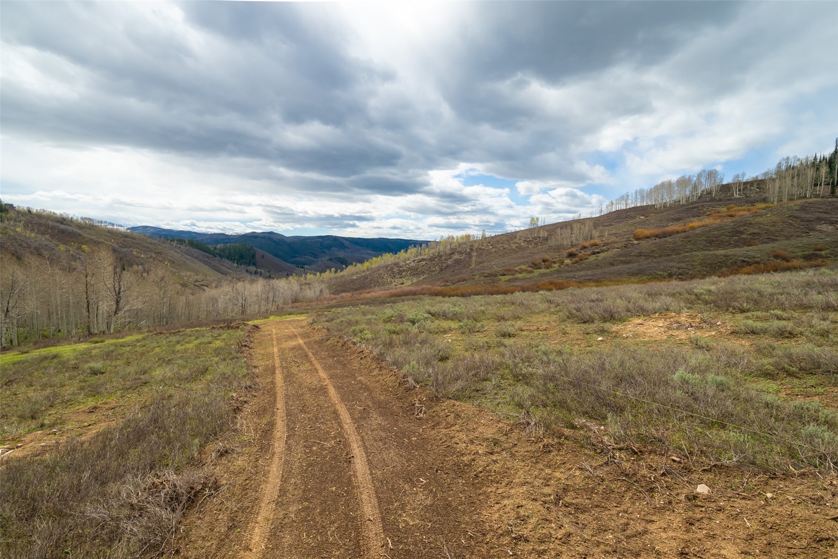 27115 St Louis PLACE