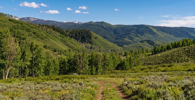 27115 St Louis PLACE