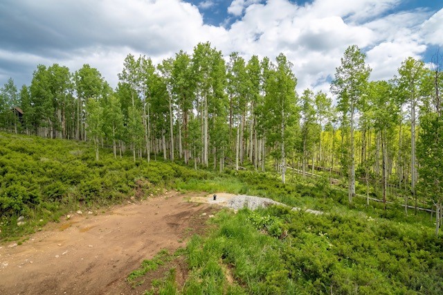 27115 St Louis PLACE