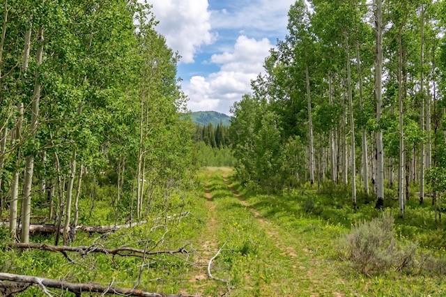 27115 St Louis PLACE