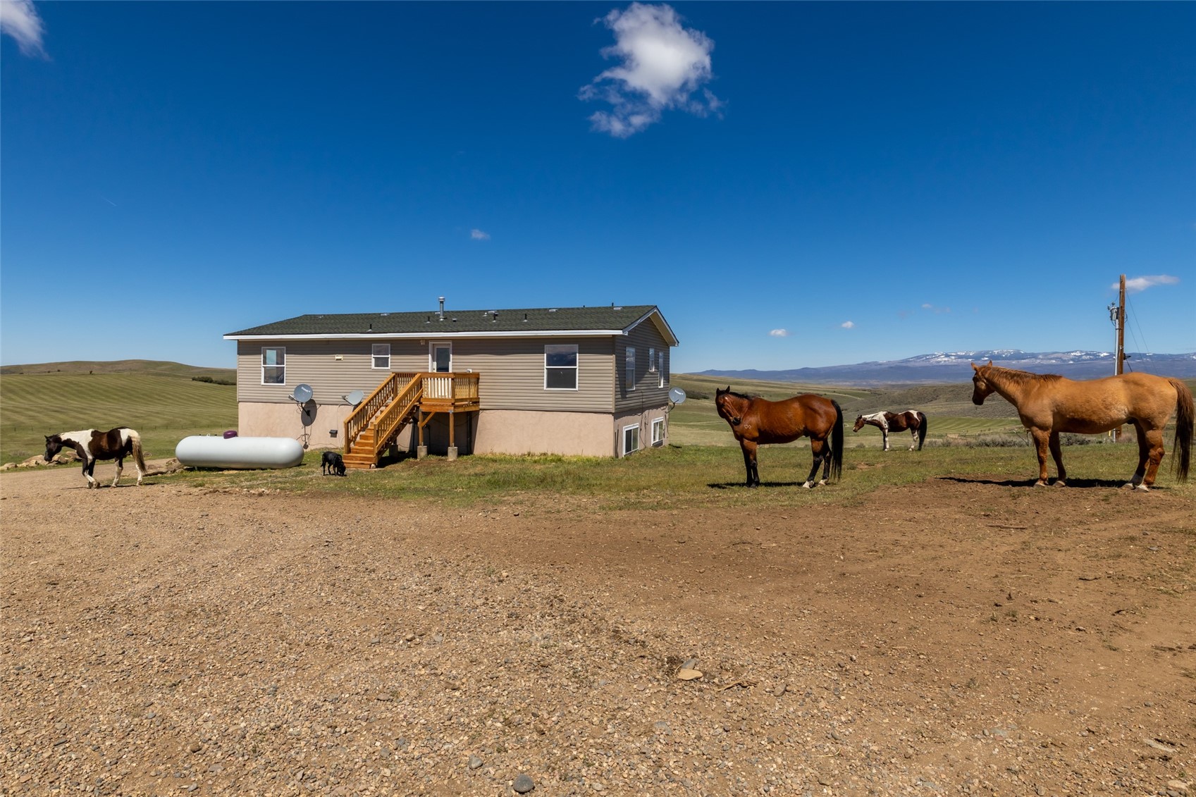 6055 Homesteader LANE