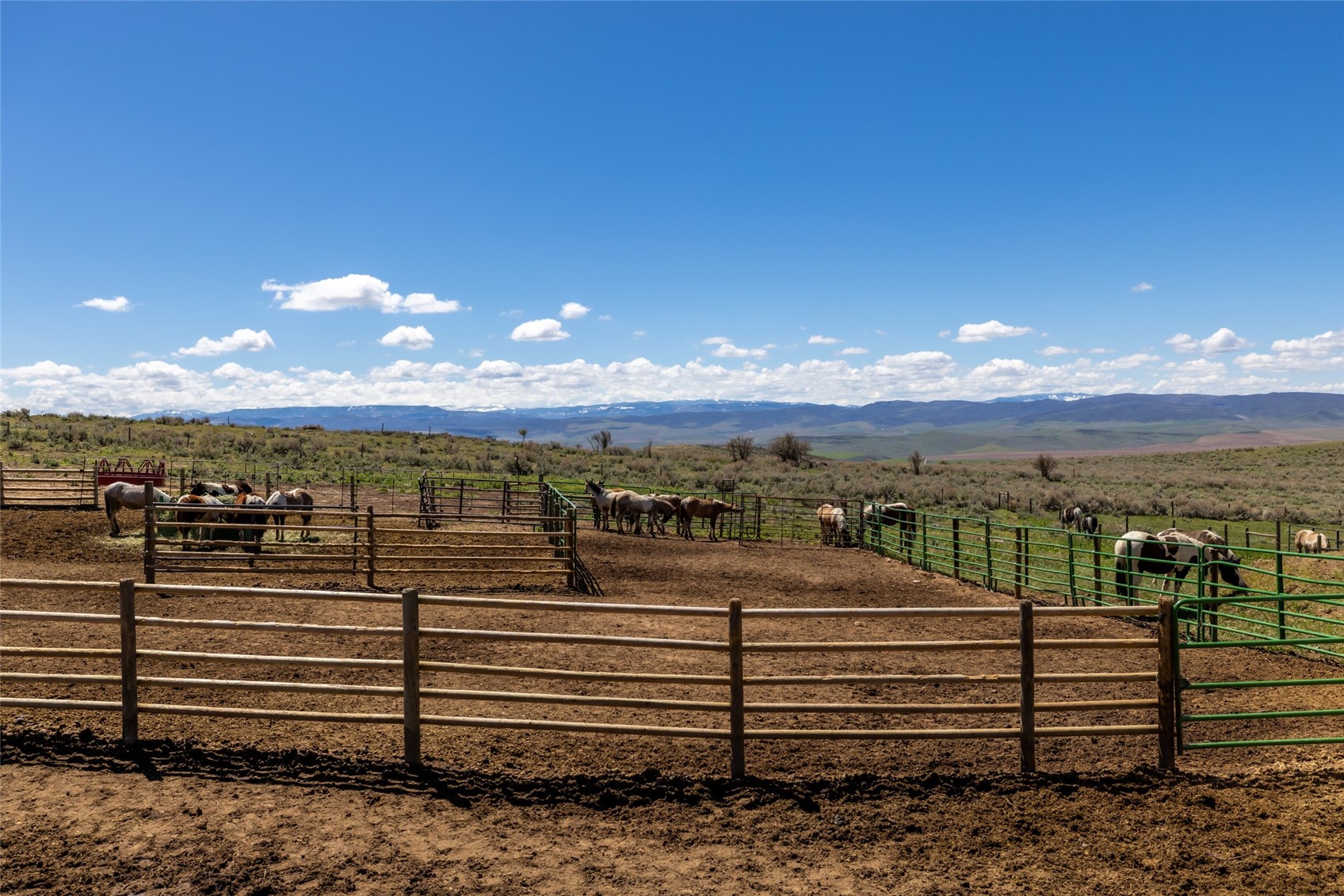 6055 Homesteader LANE