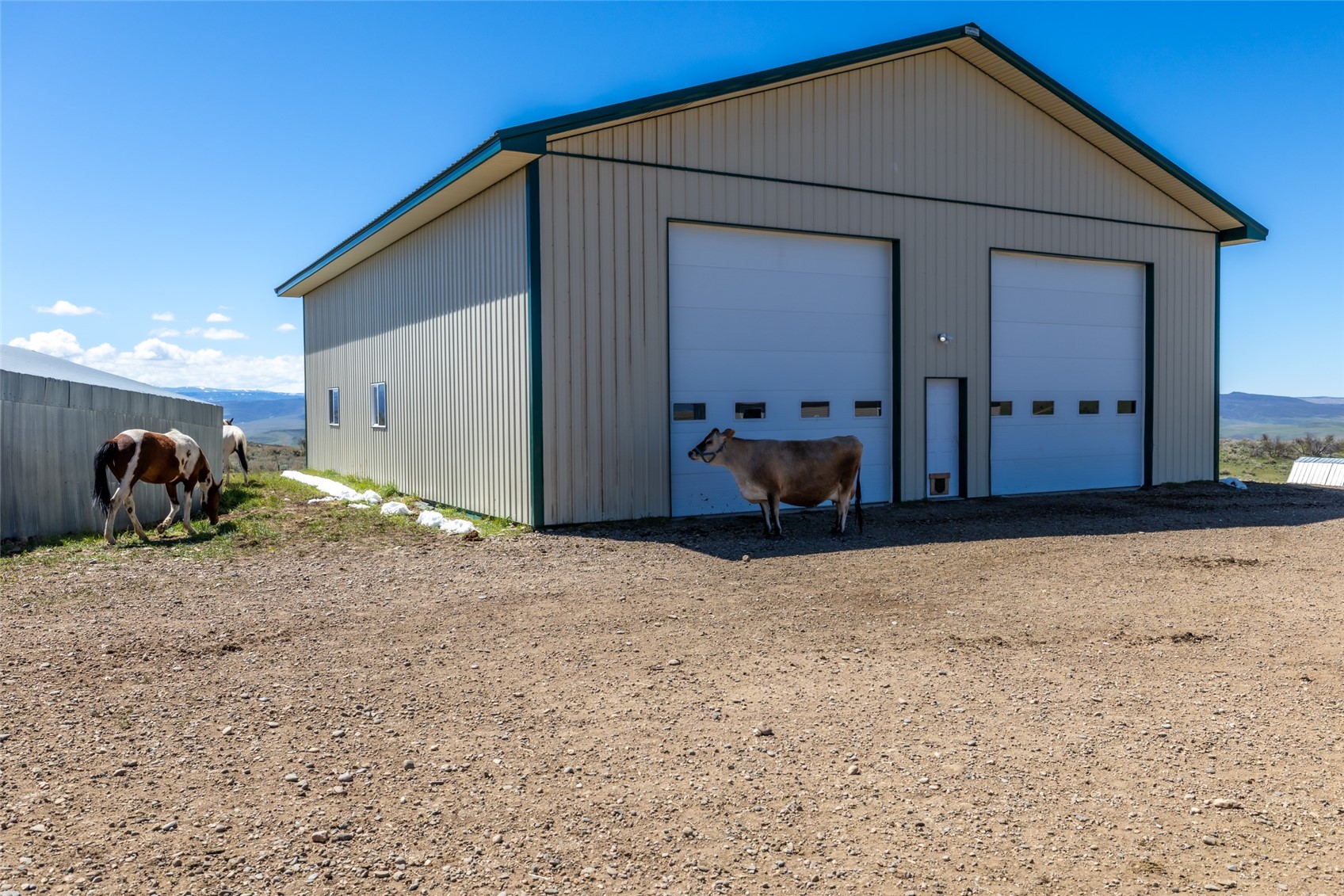 6055 Homesteader LANE
