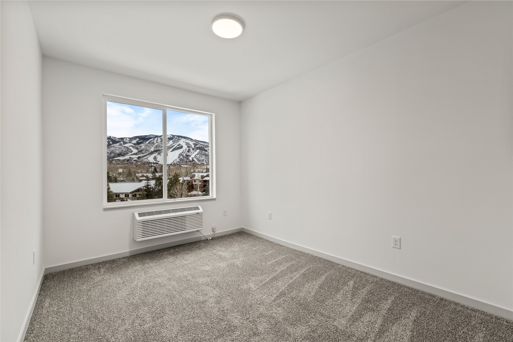 1650 Mid Valley DRIVE 1209