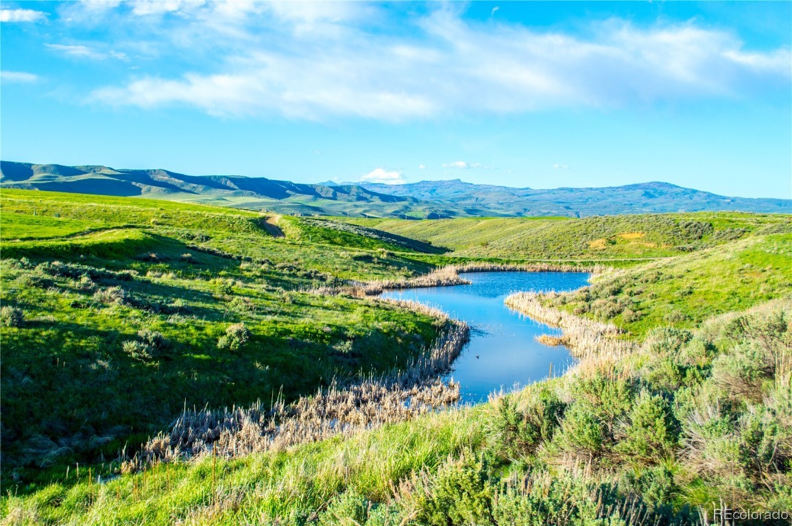 38625 Hidden Springs DRIVE