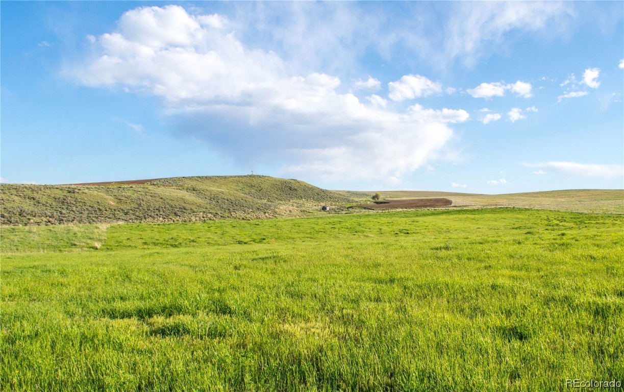 38625 Hidden Springs DRIVE