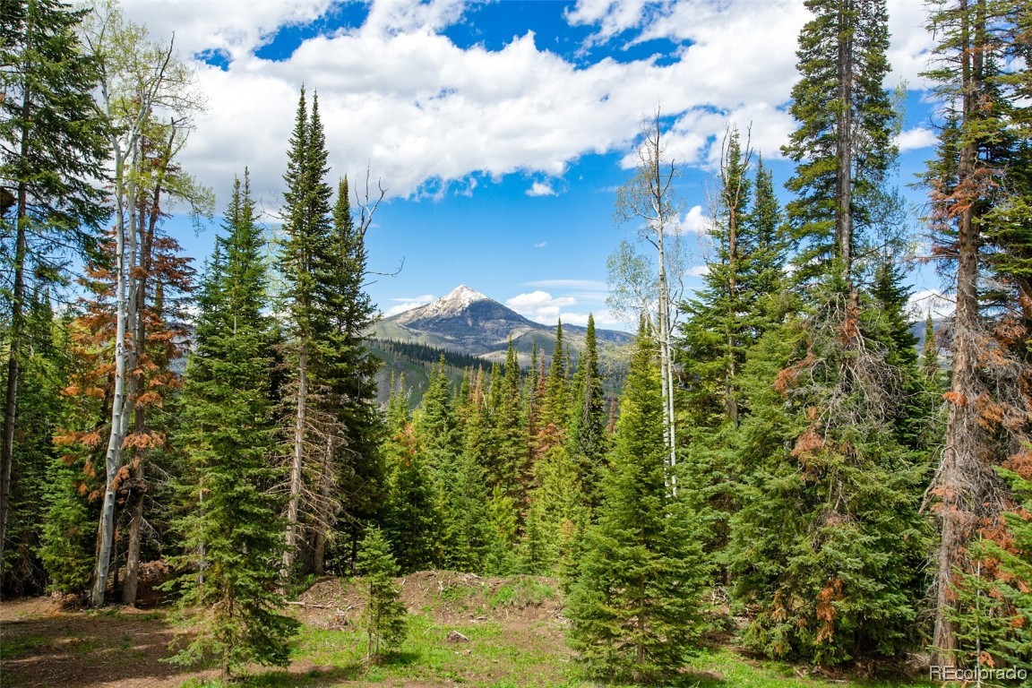 58135 Columbian PLACE