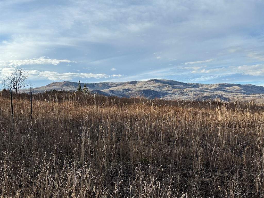 30405 Coyote Run COURT