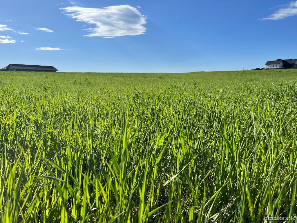 38795 Ridge Line COURT