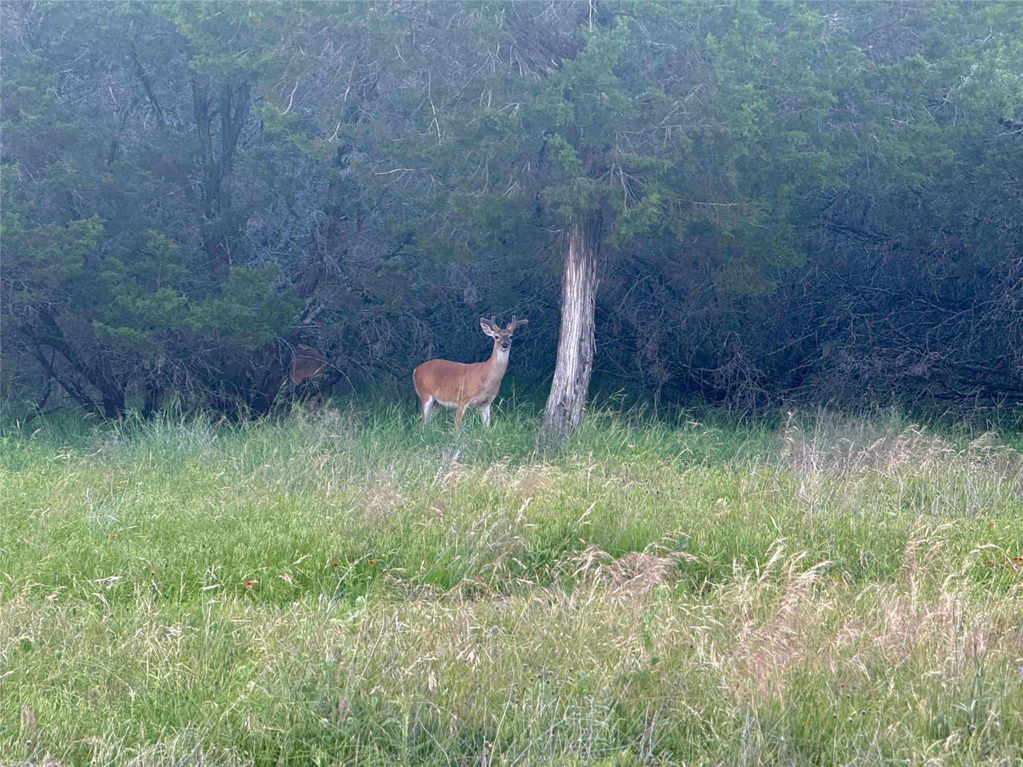 1633 Scenic Drive 201