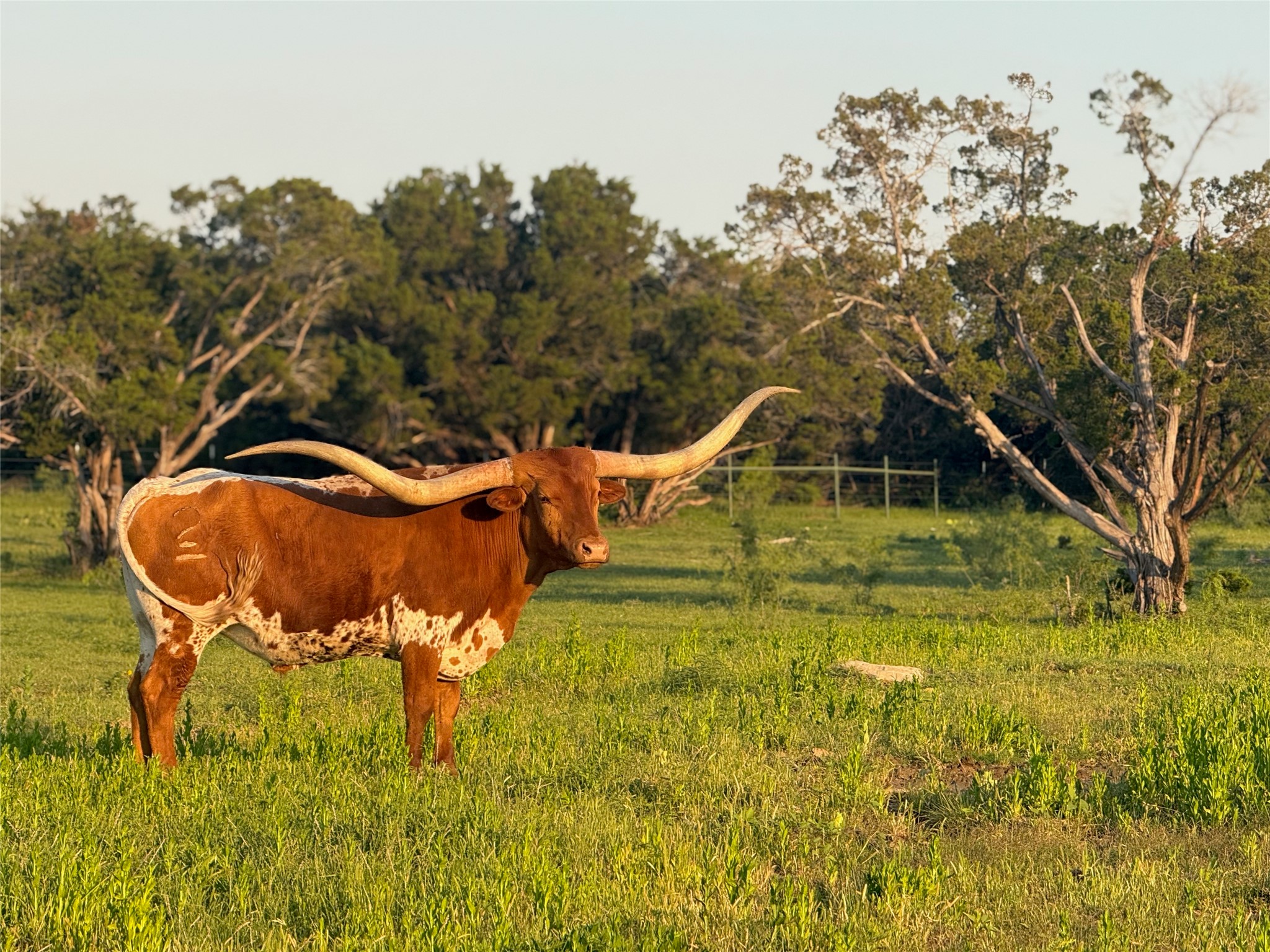 1633 Scenic Drive 201