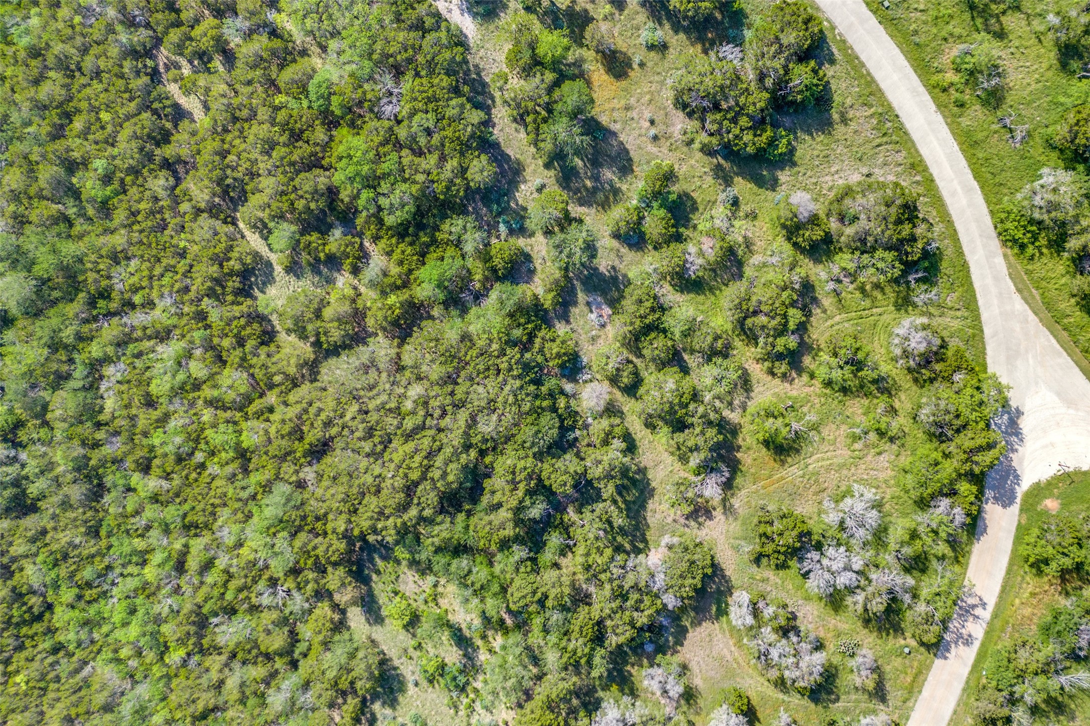1099 Highland Drive