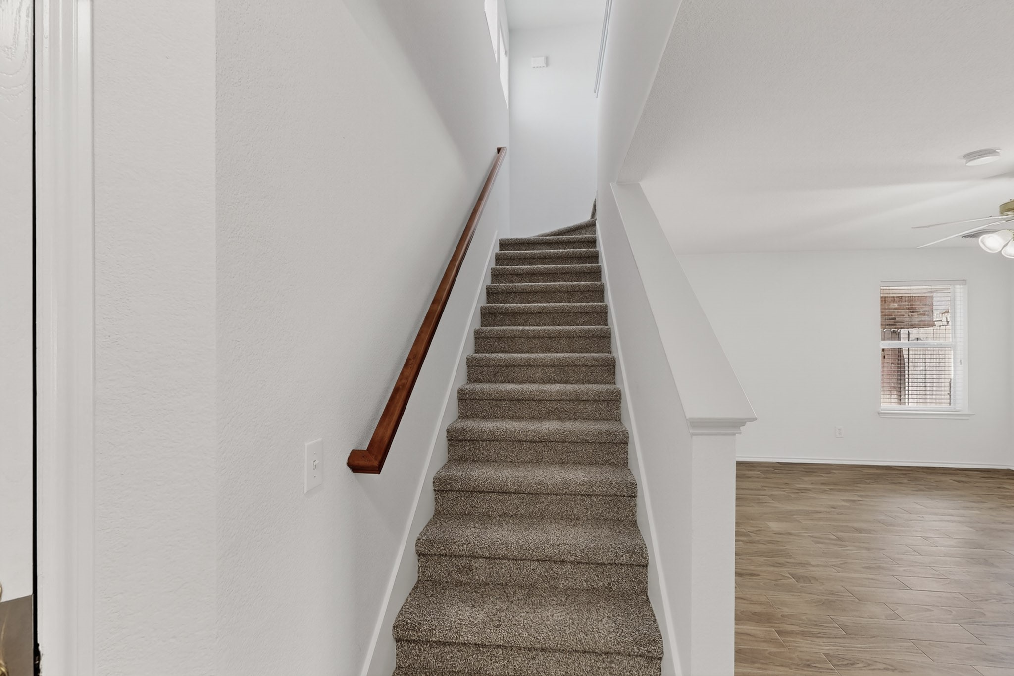 321 Stephanie Street