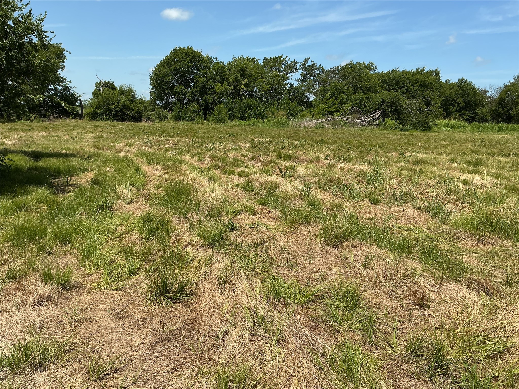 1300 S State Highway 205