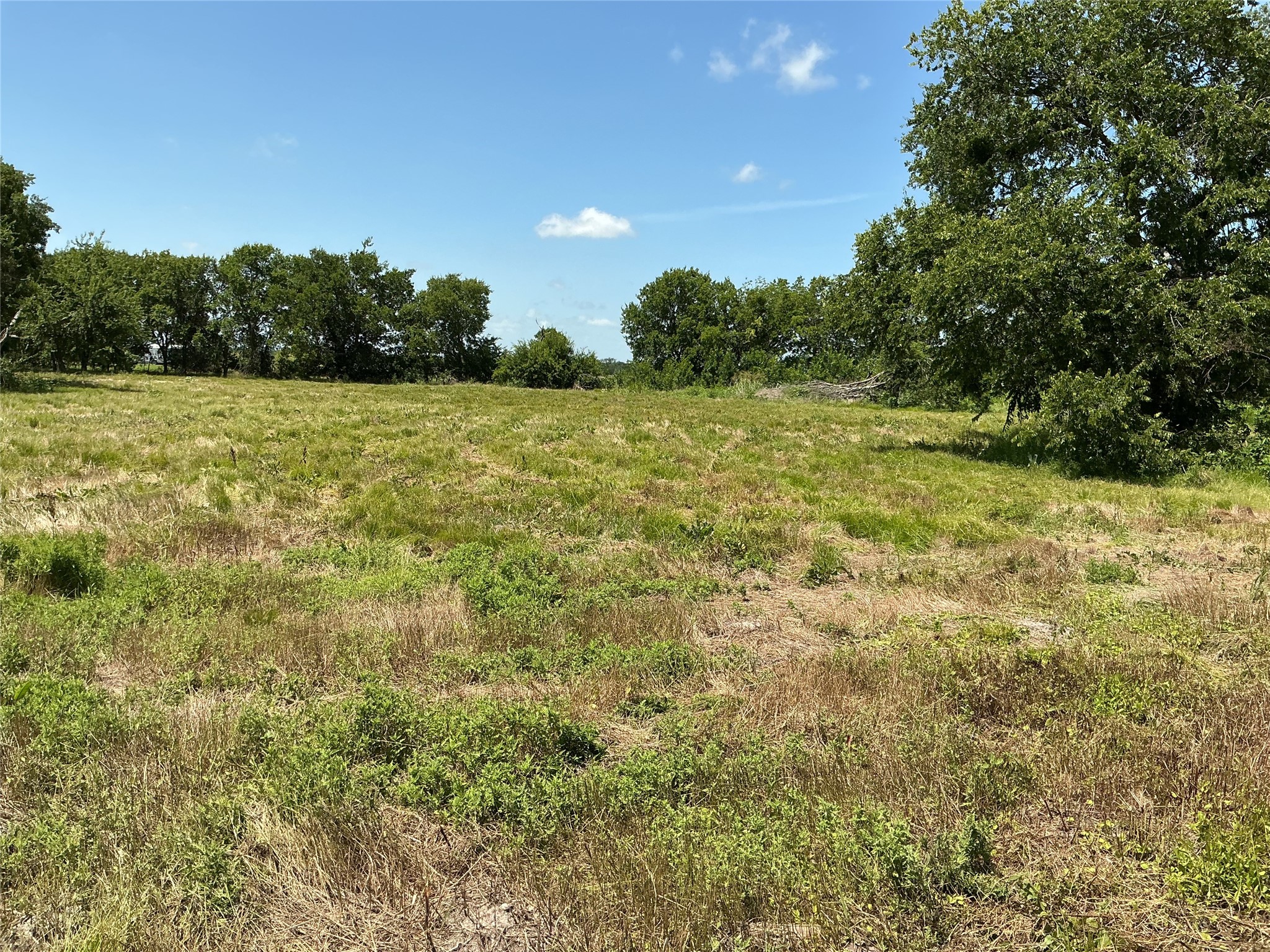 1300 S State Highway 205