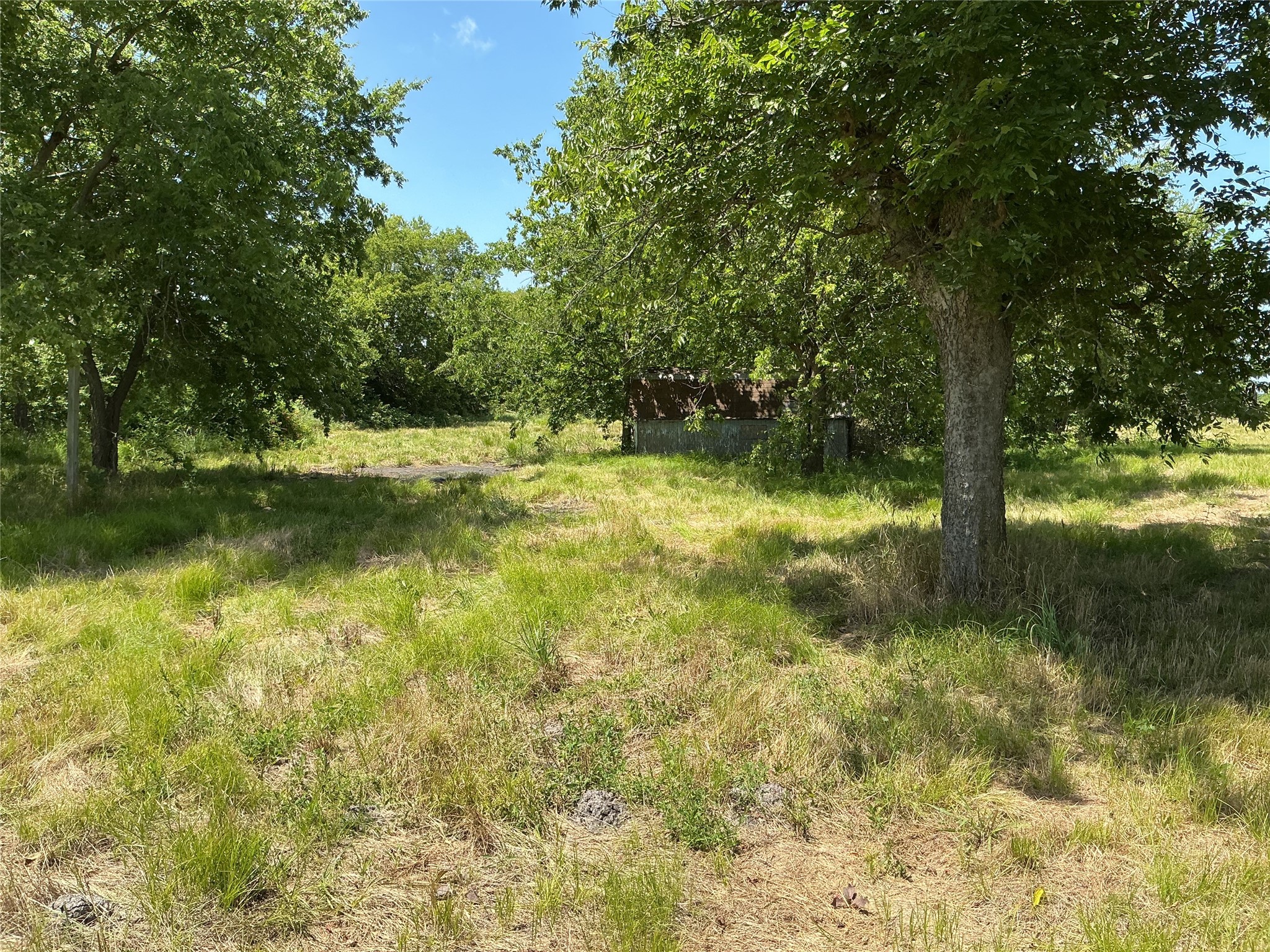 1300 S State Highway 205