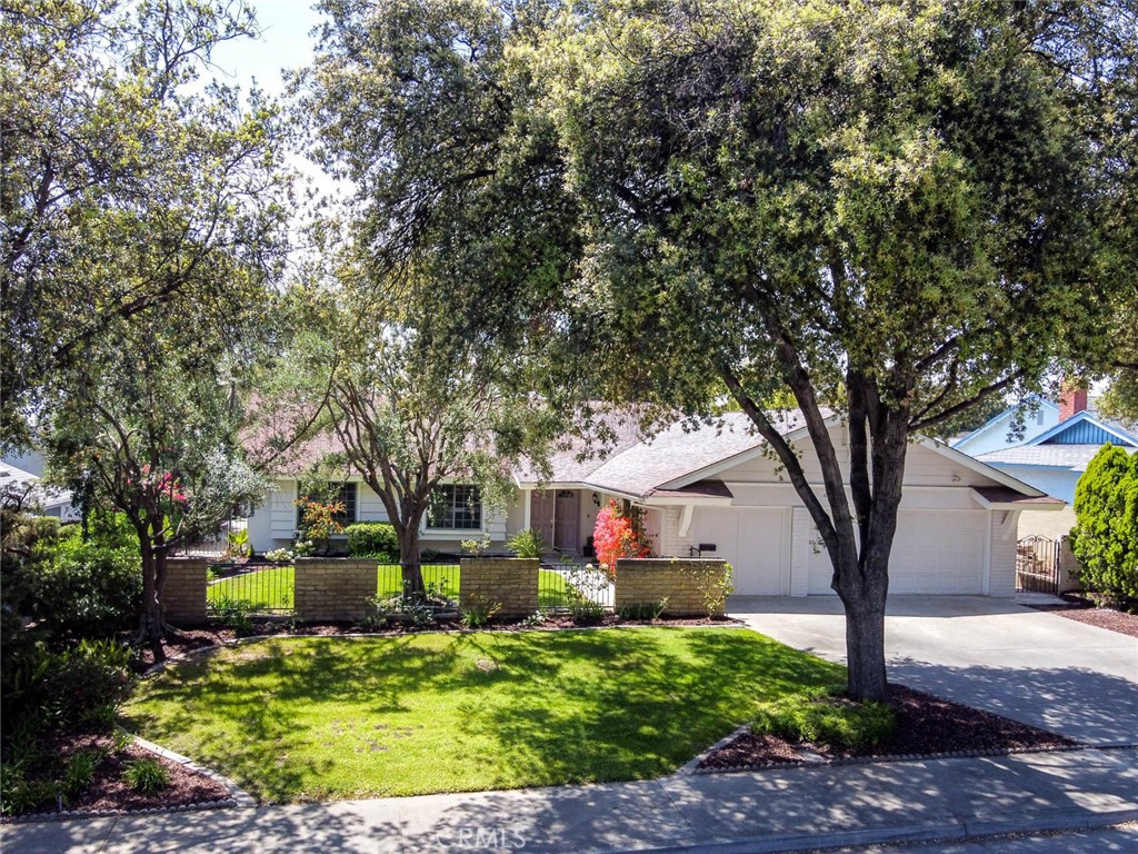 1919 Austin Court