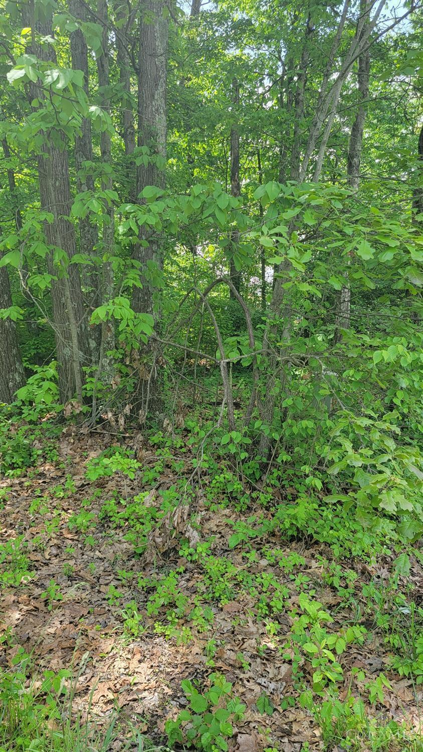 3314 Snider Malott Road