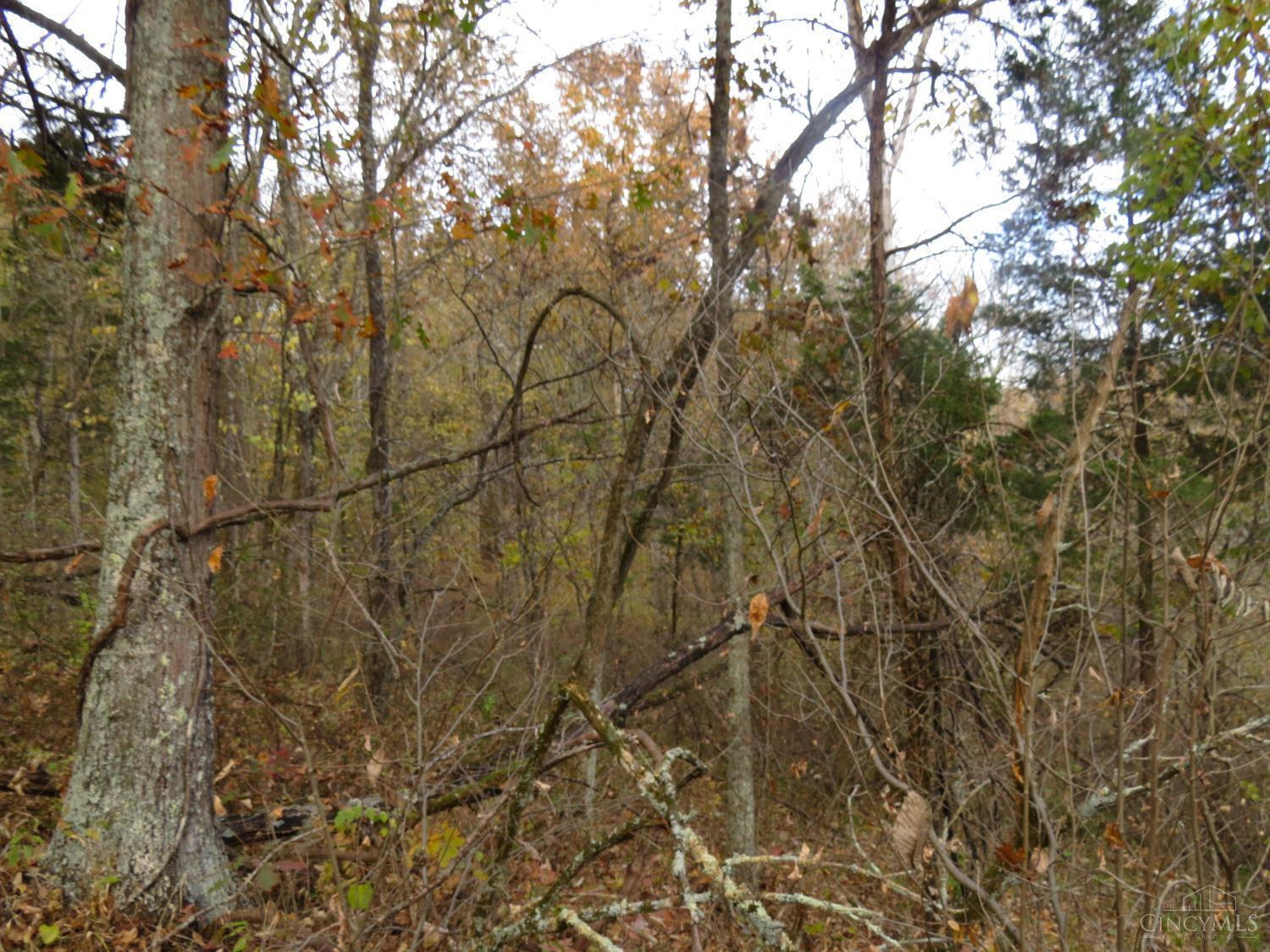 7135 Upper Dry Fork Road
