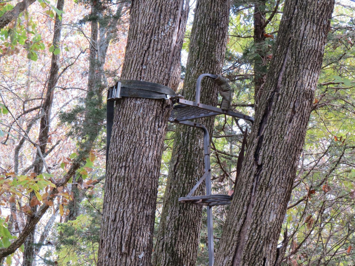 7135 Upper Dry Fork Road