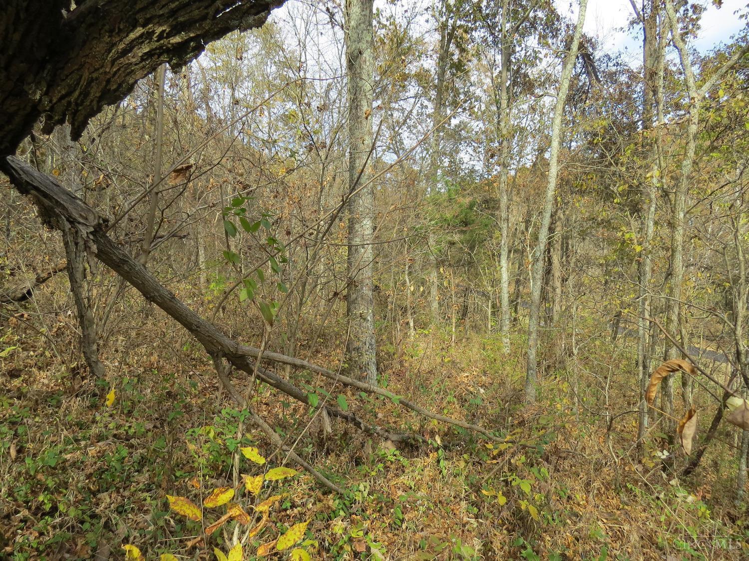 7135 Upper Dry Fork Road