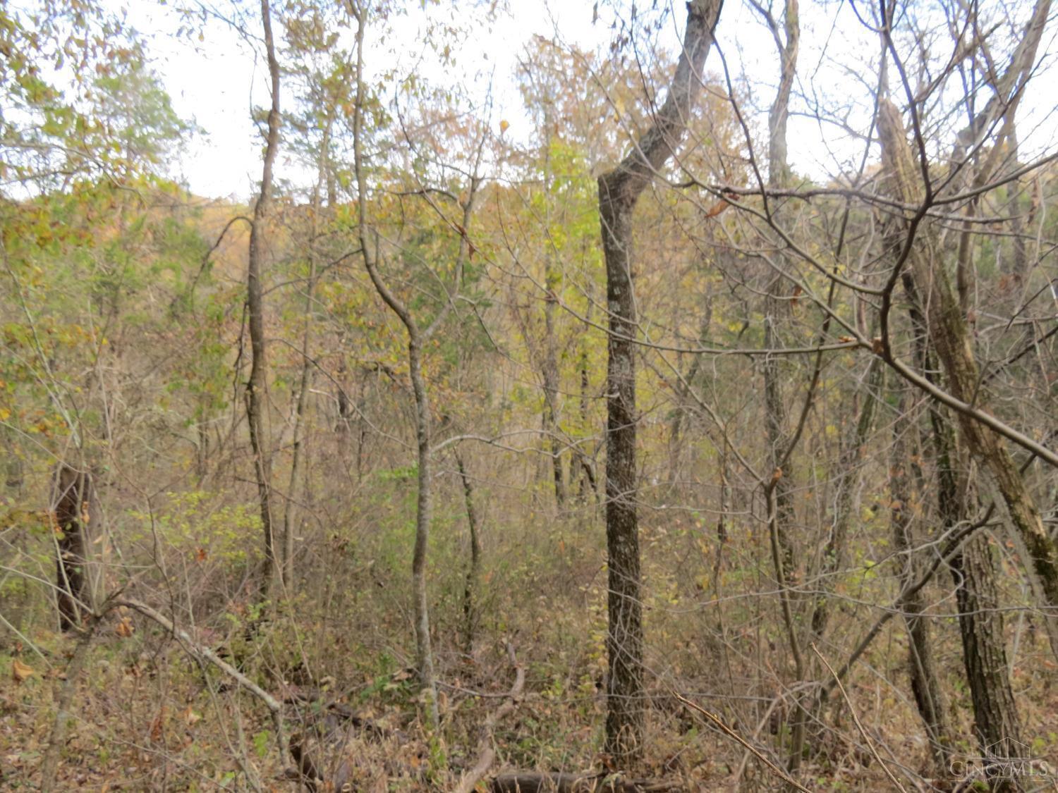 7135 Upper Dry Fork Road