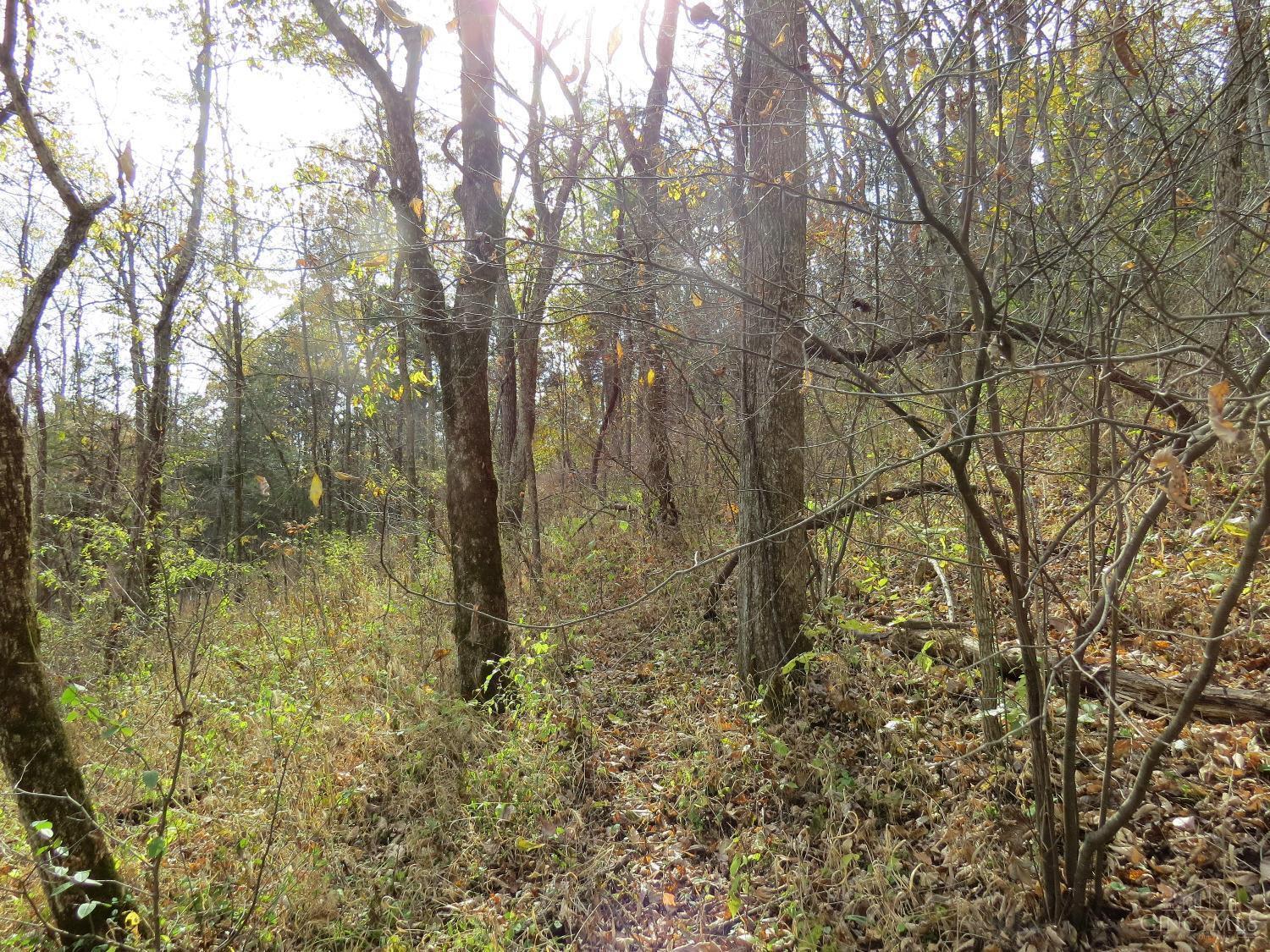 7135 Upper Dry Fork Road