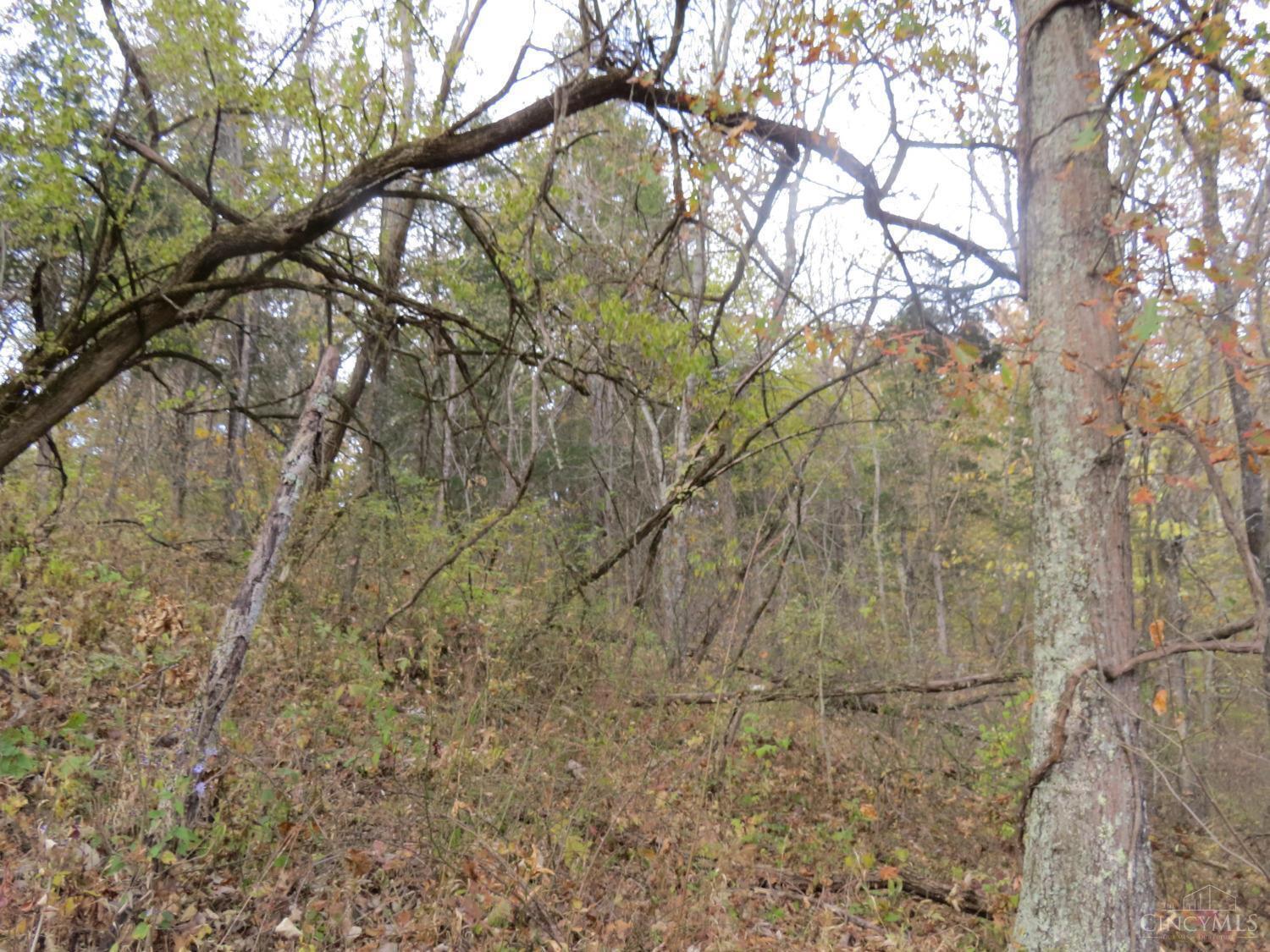 7135 Upper Dry Fork Road