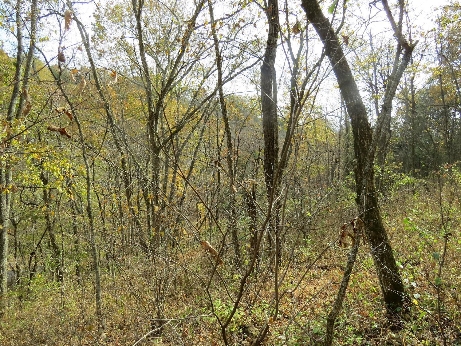 7135 Upper Dry Fork Road
