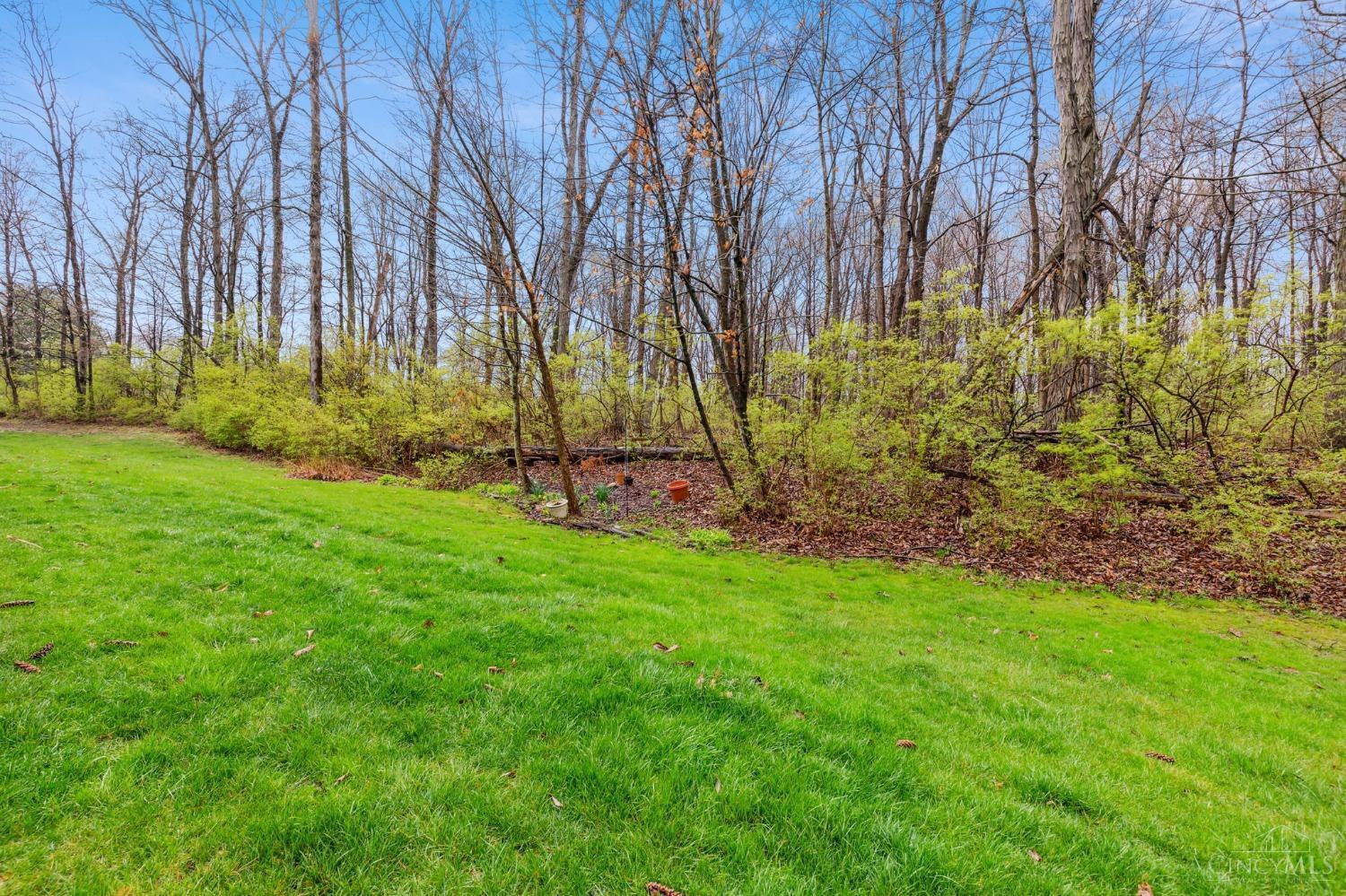 3910 Vineyard Green Drive