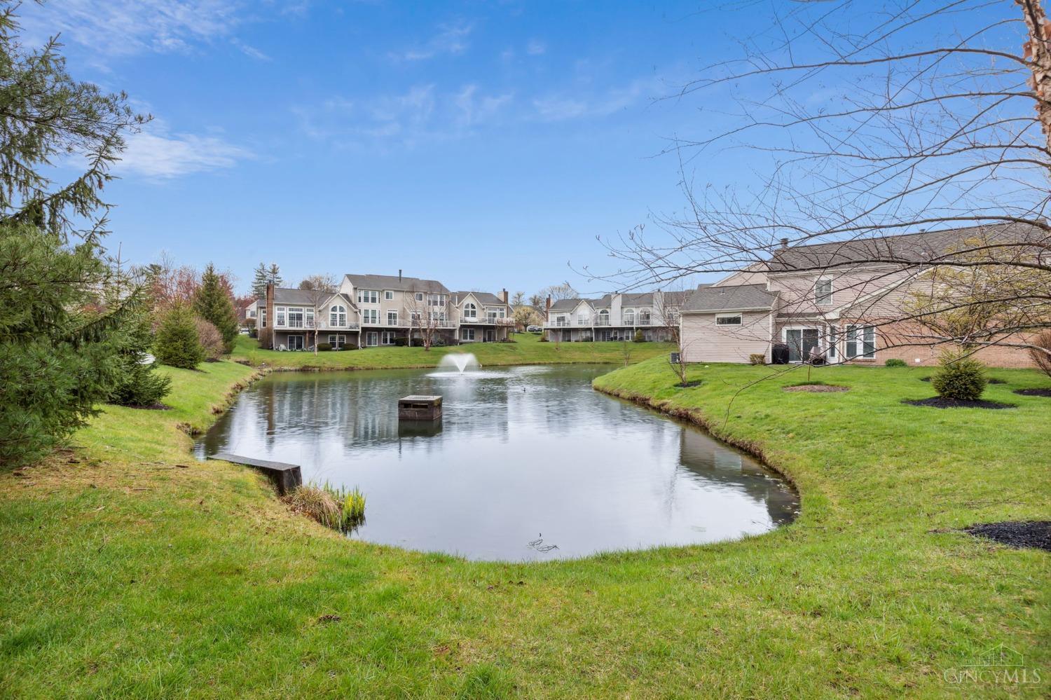 3910 Vineyard Green Drive