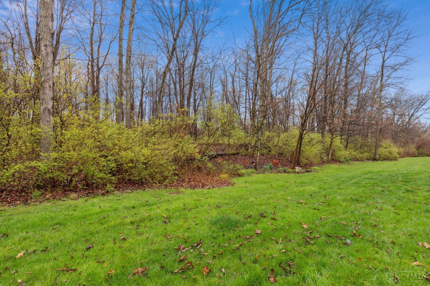 3910 Vineyard Green Drive