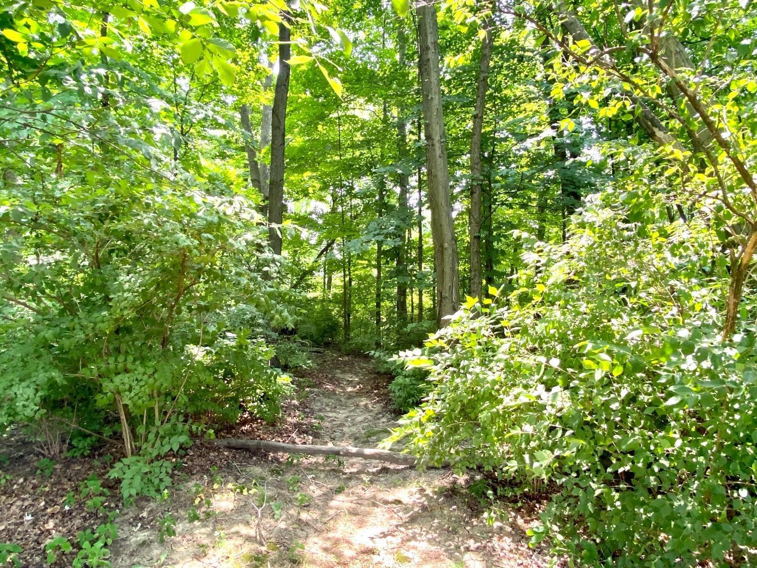 2111 Miles Woods Drive