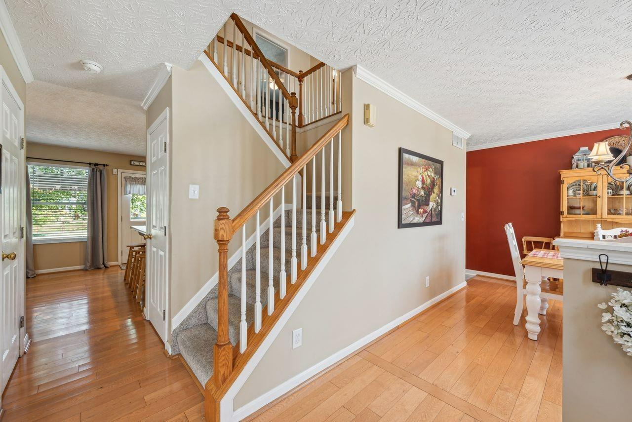 806 Hamlin Drive