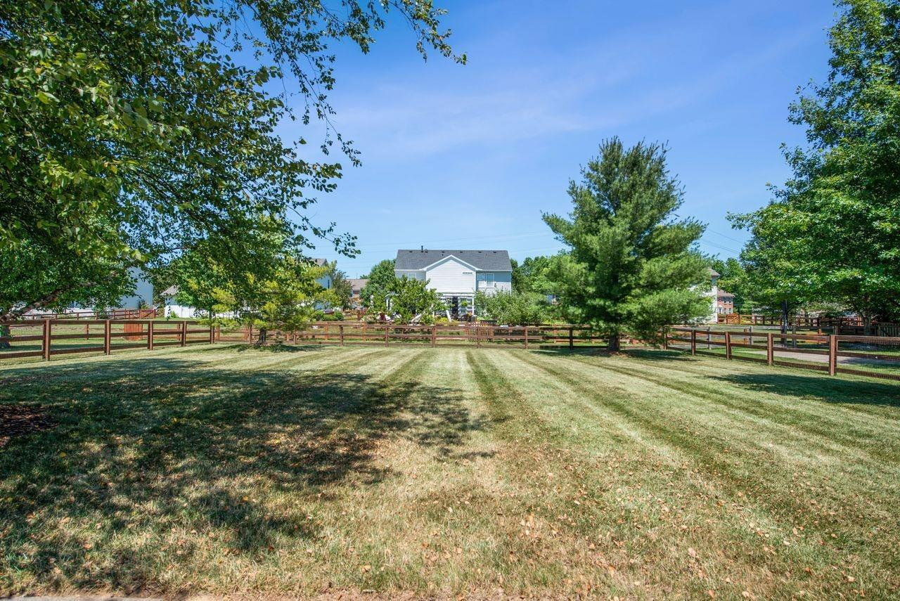 806 Hamlin Drive