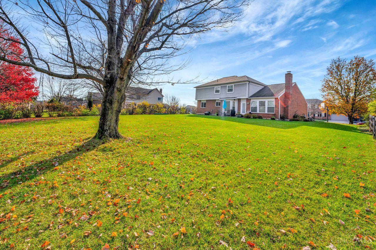 6116 Blueberry Drive