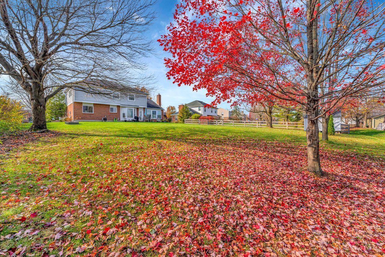 6116 Blueberry Drive