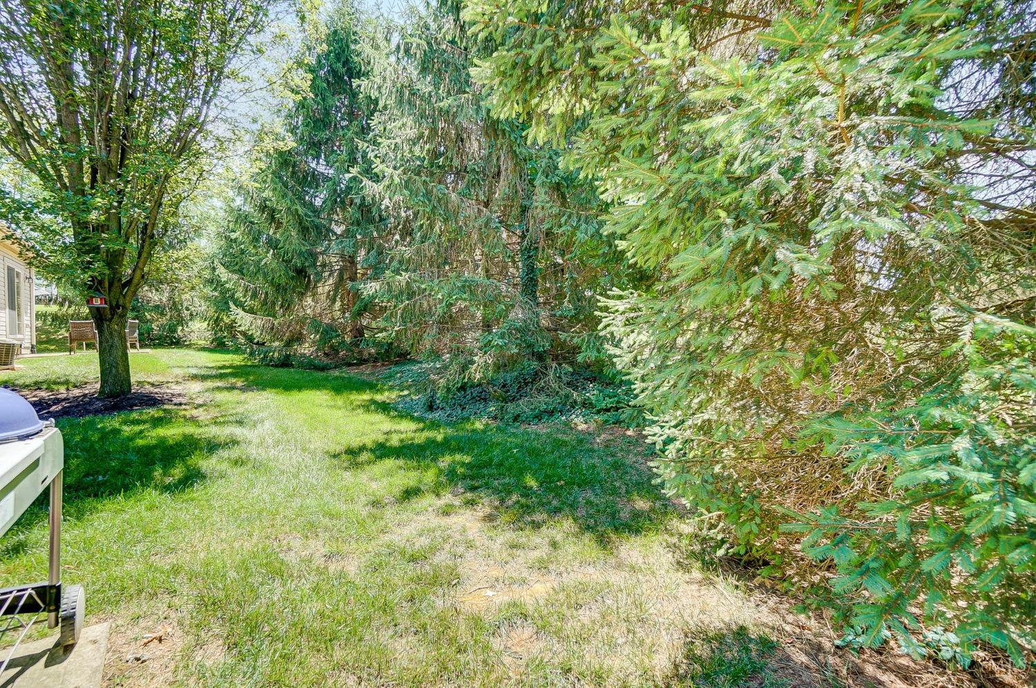 6703 Cheviot Road 2
