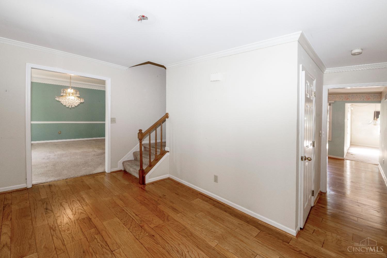 825 Woodscene Court