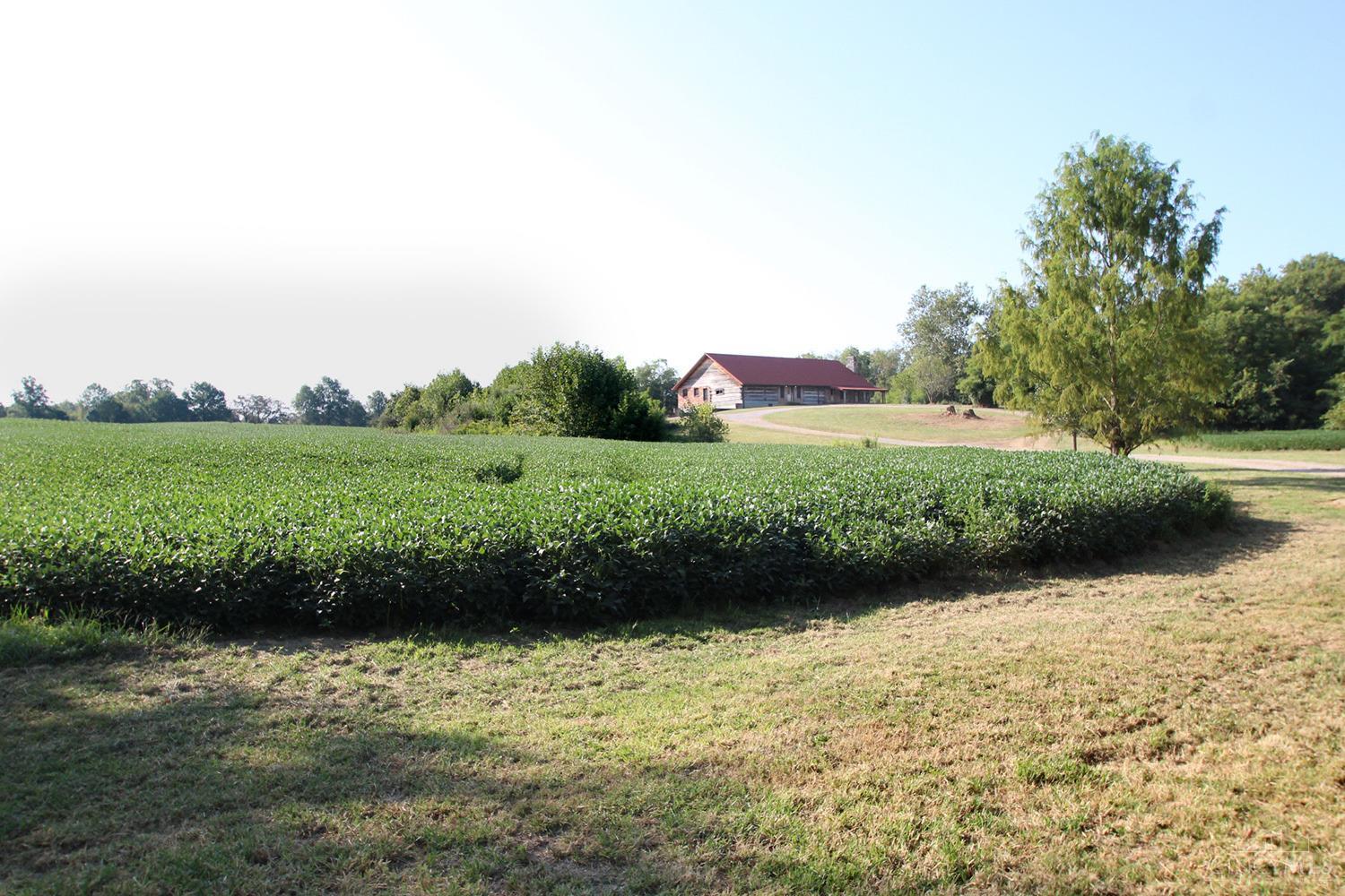 2444 Hygiene Road