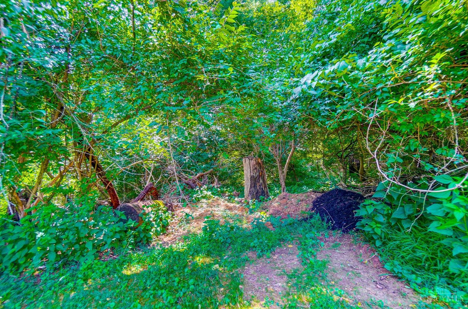 3678 Sandal Lane